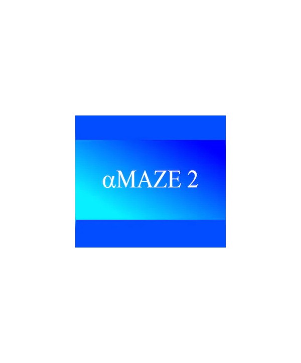 aMAZE 2 Steam Key EUROPE